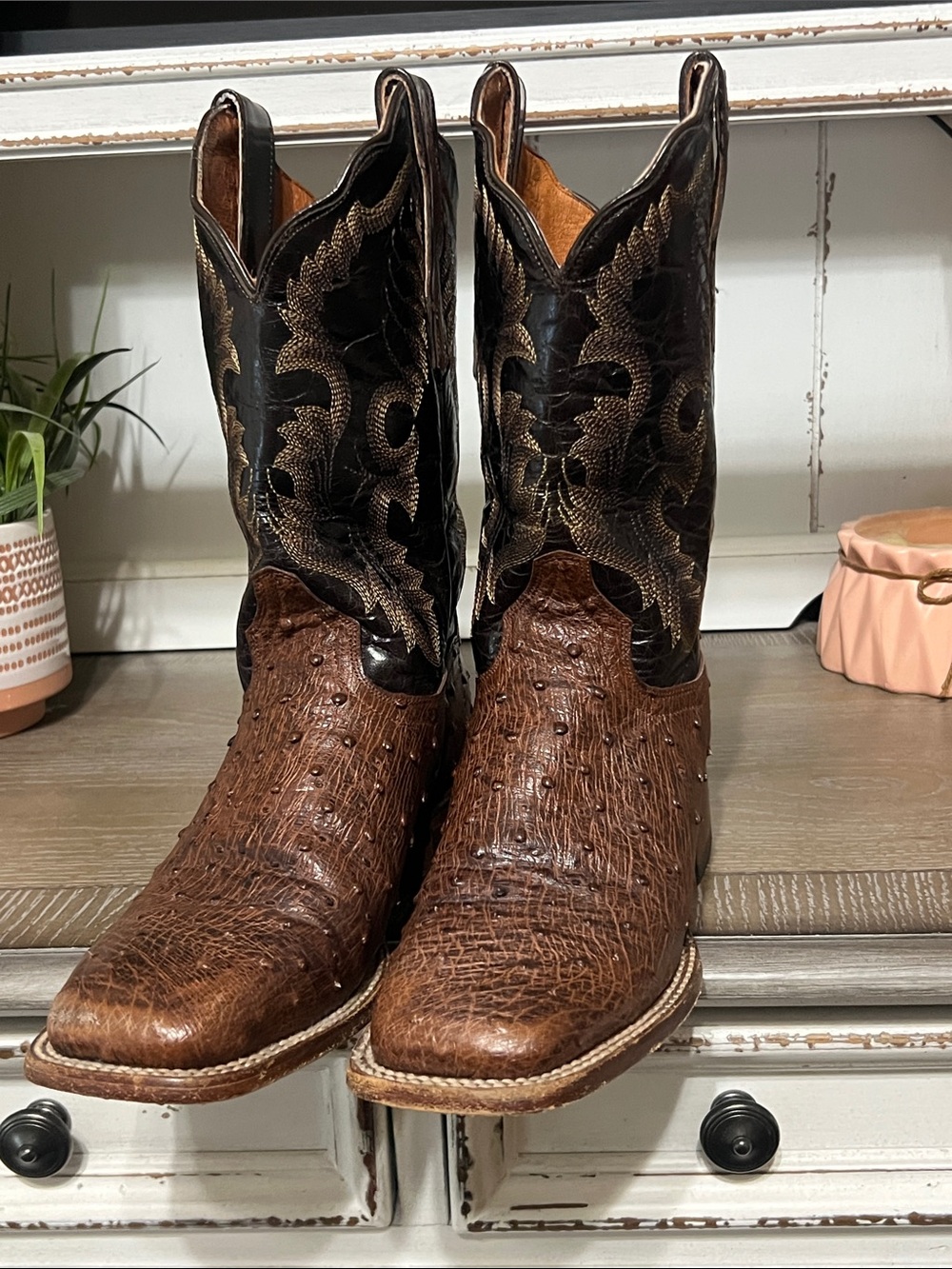 Dan Post Genuine Ostrich/Leather Western Boots - Picture 2 of 8